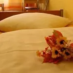 Gasthuis Hotel-pension Insor *