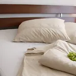 Hotel-pension Insor 招待所 柏林